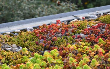 the cost of Chediston Green green roof installation